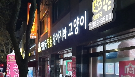 광주강아지분양